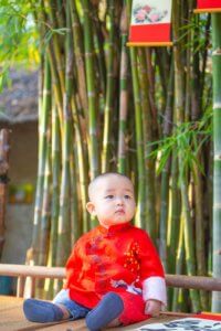 baby in red shirt sitting near green bamboo tree