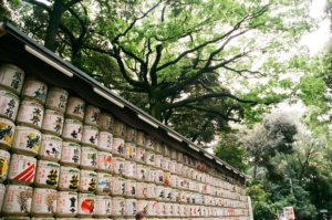 barrels of sake at meiji shrine